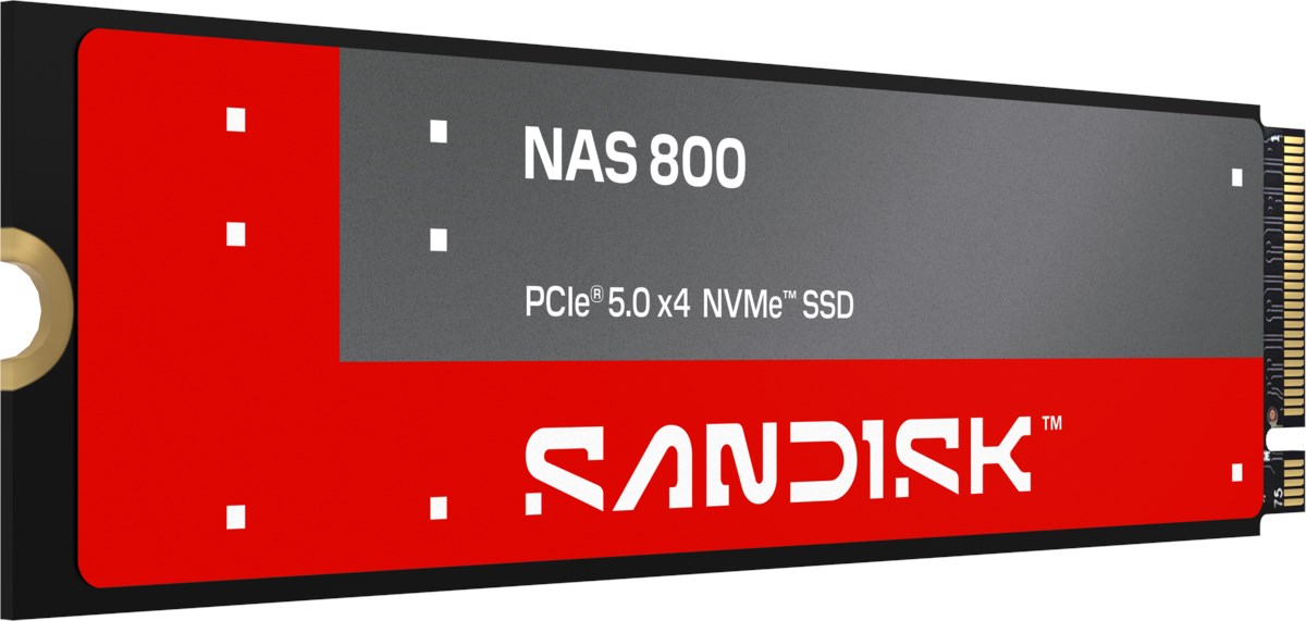 SANDISK 1.92 TB NAS 800 NVMe SSD SDSNP2192TAN