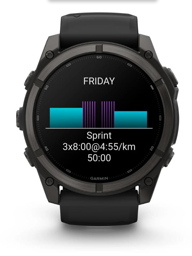 SMARTWATCH FENIX 9/CARB. GREY 010-04763-11 GARMIN