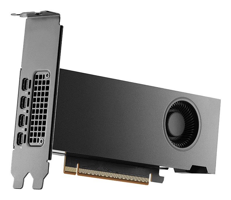 NVIDIA PNY RTX PRO 2000 Blackwell - 16 GB GDDR7 graphics card