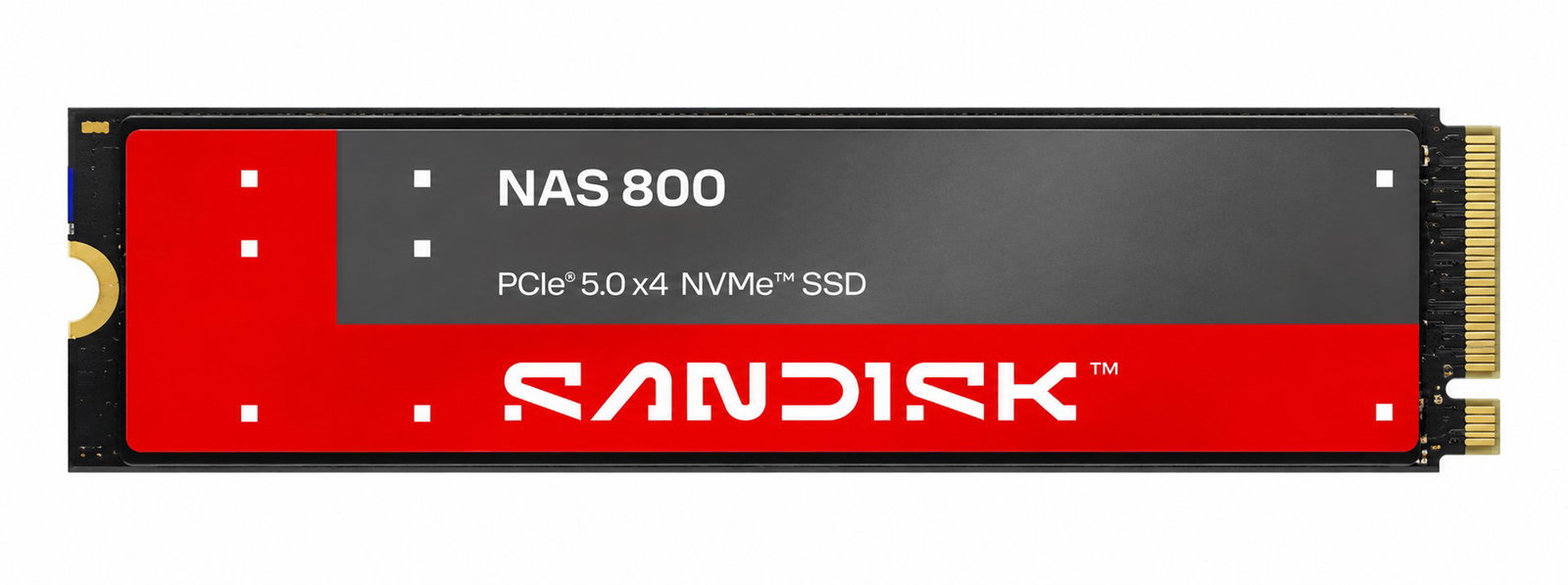 SanDisk NAS 800 960 GB M.2 PCIe 5.0 NVMe 3D TLC NAND