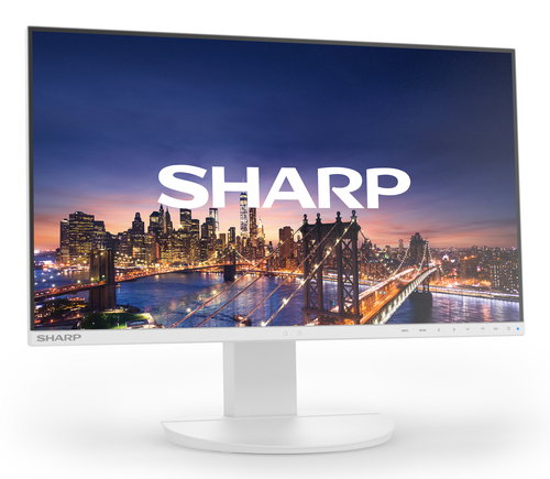 DD-EA241F WHITE 24IN - IPS 1920 X 1080 1000:1 250CD