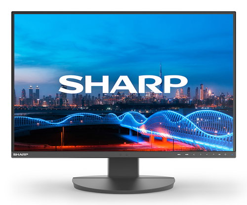 DD-EA241W BLACK 24IN - IPS 1920X1200 16:10 5MS 1000:1 3