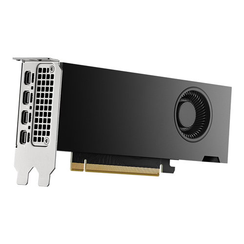 NVIDIA RTX 2000 ADA LOWPROFILE - POWER LTD. OEM NO ACCESSORIES