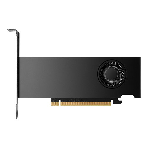 NVIDIA RTX 2000 ADA LOWPROFILE -