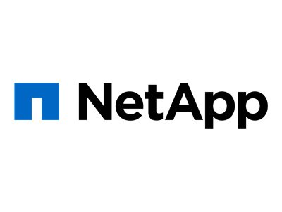 NetApp 4TB NL-SAS 12G 7.2K LFF Hard Drive