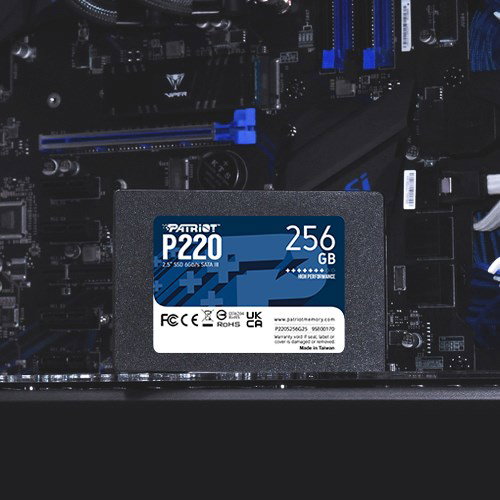 Patriot Memory P220 256GB 2.5 Serial ATA III
