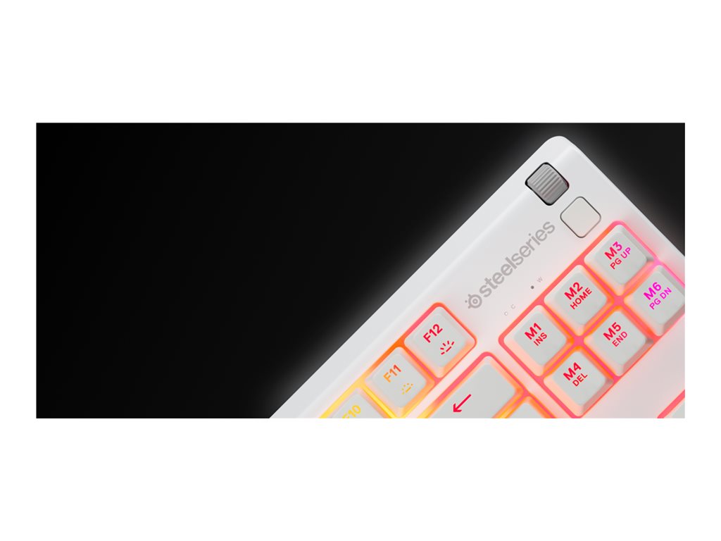 STEELSERIES Apex 3 TKL Keyboard White US