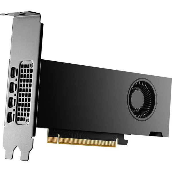 PNY NVIDIA RTX 2000 Ada Generation 16GB PB, graphics card