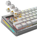 Glorious Panda Standard Switches, mechanisch, 5-Pin, taktil, MX-Stem, 50g - lubed, 36 Stck