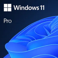 WIN PRO 11 - NON-RETURNABLE SKU
