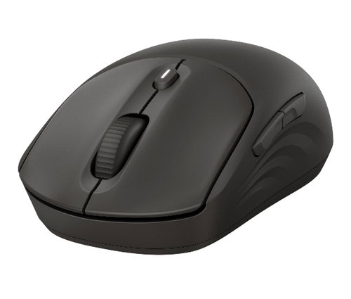 HP 405 QUIET BLK WIRELESS MOUSE - .