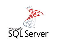 SQL SVR STD CORE 2025 - ALL LNG MVL 2 3YR CORE LICENSE