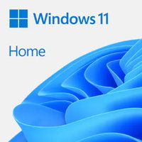 WINDOWS 11 HOME 64-BIT FPP USB - GERMAN