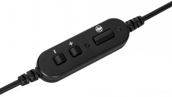 Targus AEH102GL headphones/headset Wired Head-band Calls/Music USB Type-A Black