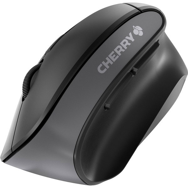 CHERRY MW 4500, mouse - black