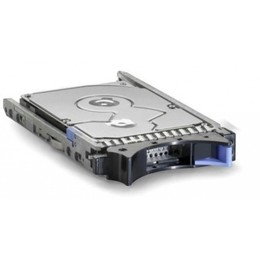 IBM HDD 300GB 10K 6G 2.5 Inch SAS SFF