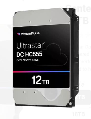 HDD WESTERN DIGITAL ULTRASTAR Ultrastar DC HC555 12TB 512 MB 7200 rpm 3,5 0B48720