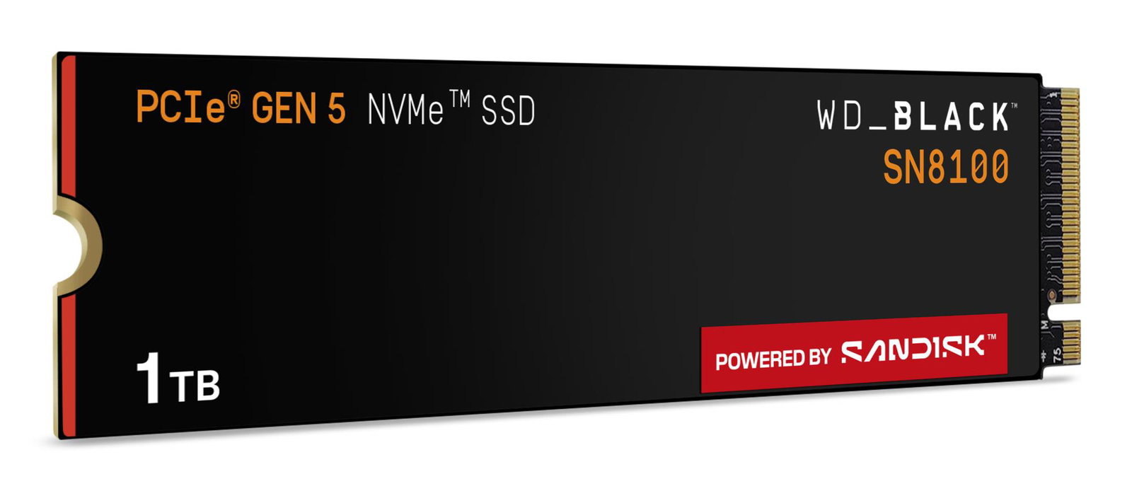 SSD SANDISK 2400xTBW rating NVMe Yes PCI Express 5.0 M.2 1000 GB POWERED BY SANDISK Black SN8100 WDS100T1X0M