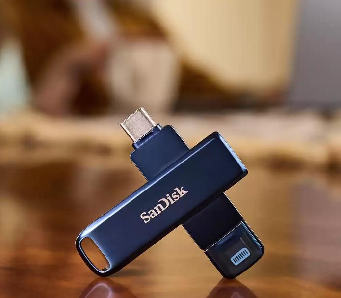 MEMORY DRIVE FLASH USB-C 64GB/SDIXD0N-064G-GN6NN SANDISK