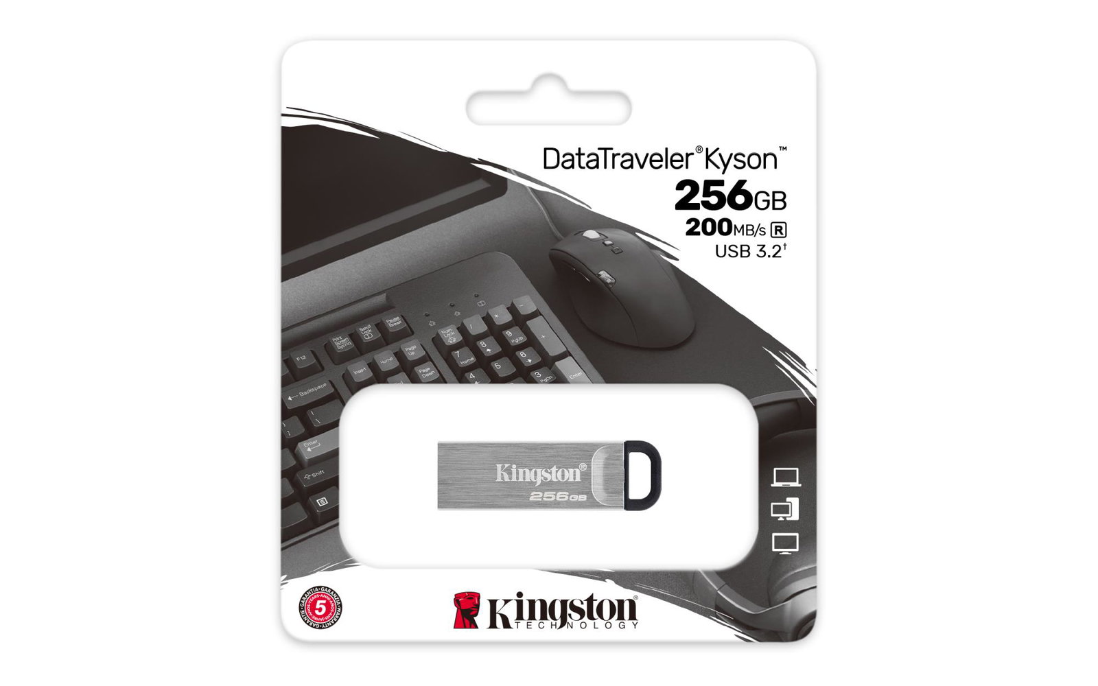 MEMORY DRIVE FLASH USB3.2/256GB DTKN/256GB KINGSTON