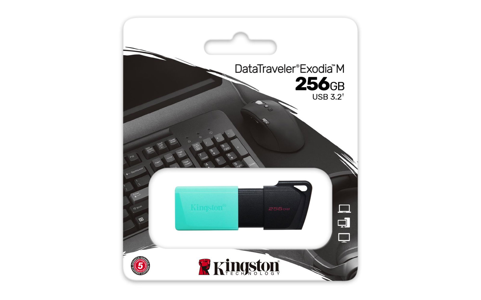 MEMORY DRIVE FLASH USB3.2/256GB DTXM/256GB KINGSTON