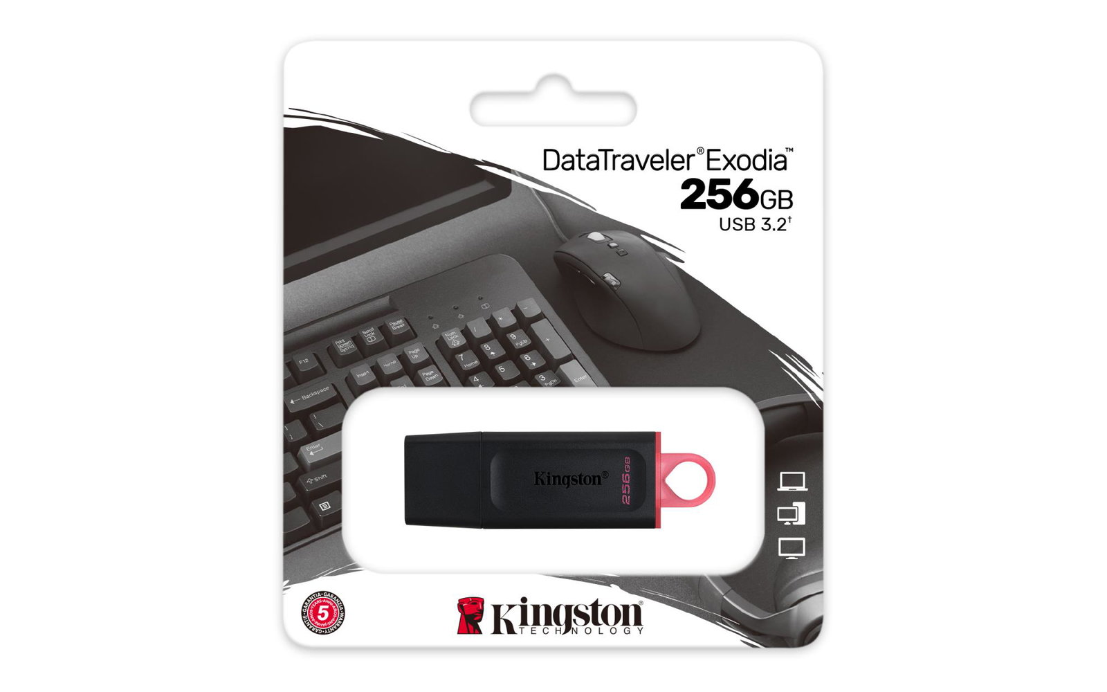 MEMORY DRIVE FLASH USB3.2/256GB DTX/256GB KINGSTON