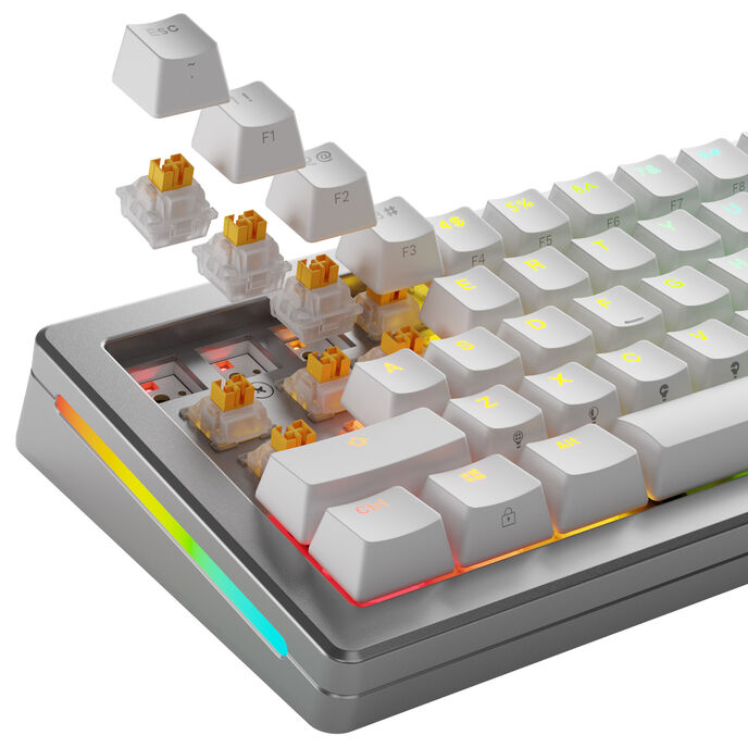 Glorious Panda HE Silent Switches, Hall-Effekt, taktil, MX-Stem, 45g - lubed, 36 Stck