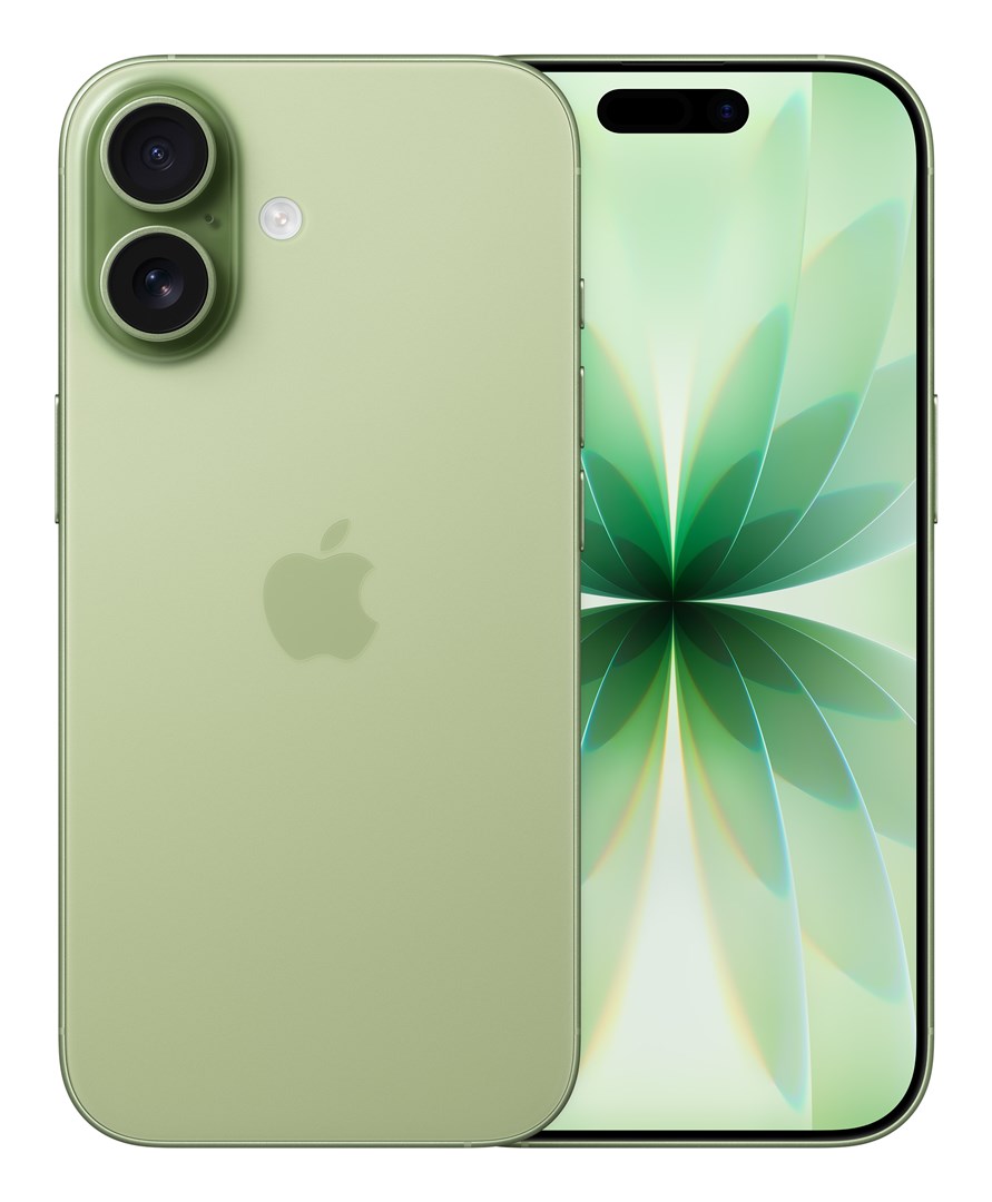 Apple iPhone 17 16 cm (6.3) Dual SIM iOS 26 5G USB Type-C 256 GB Sage