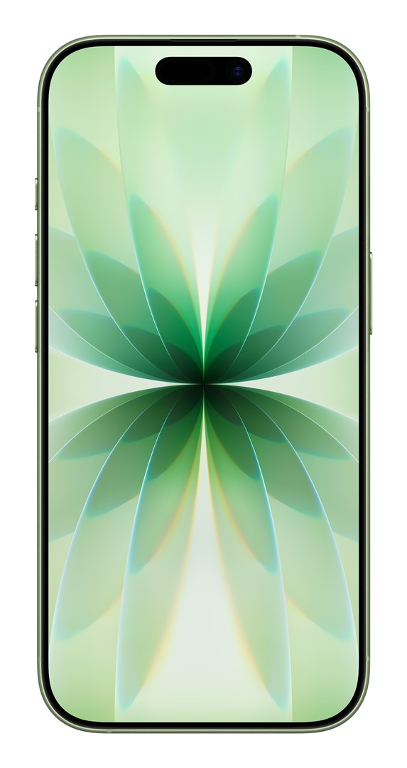 Apple iPhone 17 16 cm (6.3) Dual SIM iOS 26 5G USB Type-C 256 GB Sage