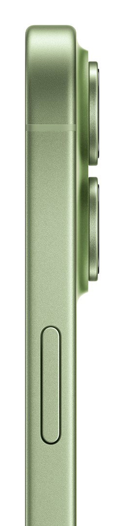 Apple iPhone 17 16 cm (6.3) Dual SIM iOS 26 5G USB Type-C 256 GB Sage