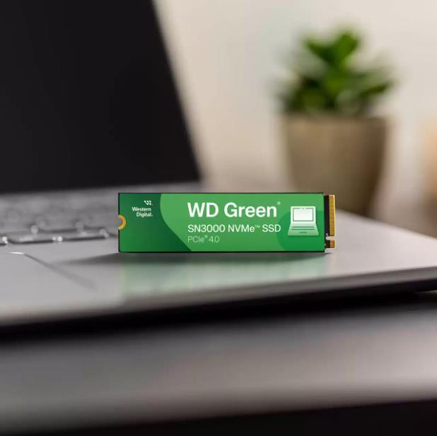 SSD SANDISK Read speed 5000 MB/s Write speed 4200 MB/s NVMe Yes PCI Express 4.0 M.2 2048 GB POWERED BY SANDISK Green WDS200T4G0E