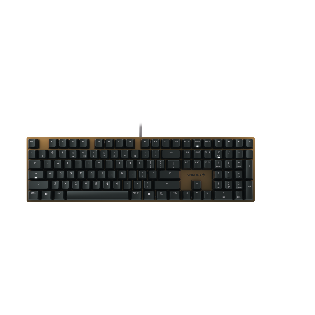 Cherry KC 200 MX Keyboard USB QWERTZ German
