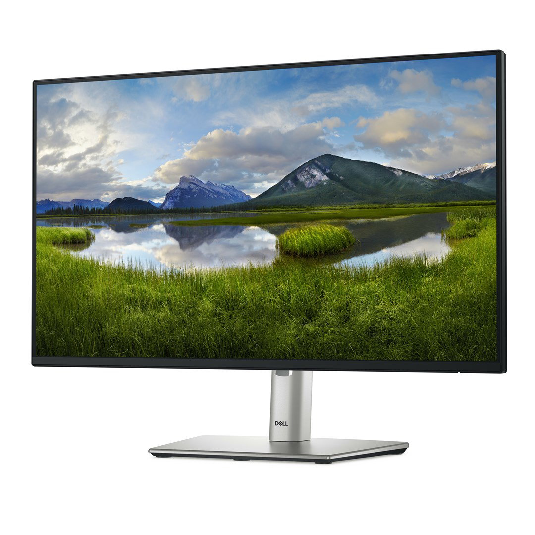 DELL P Series P2425HE computer monitor 61 cm (24) 1920 x 1080 px Full HD LCD, black