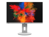 FUJITSU 24inch B2410 TE marble grey Ultra Narrow Border IPS low blue light LED Presence and auto-brightness sensors Calibration