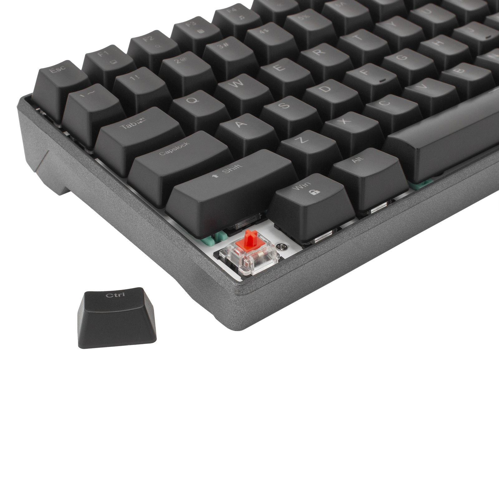 White Shark ESL-K2 Premium Line Katana US