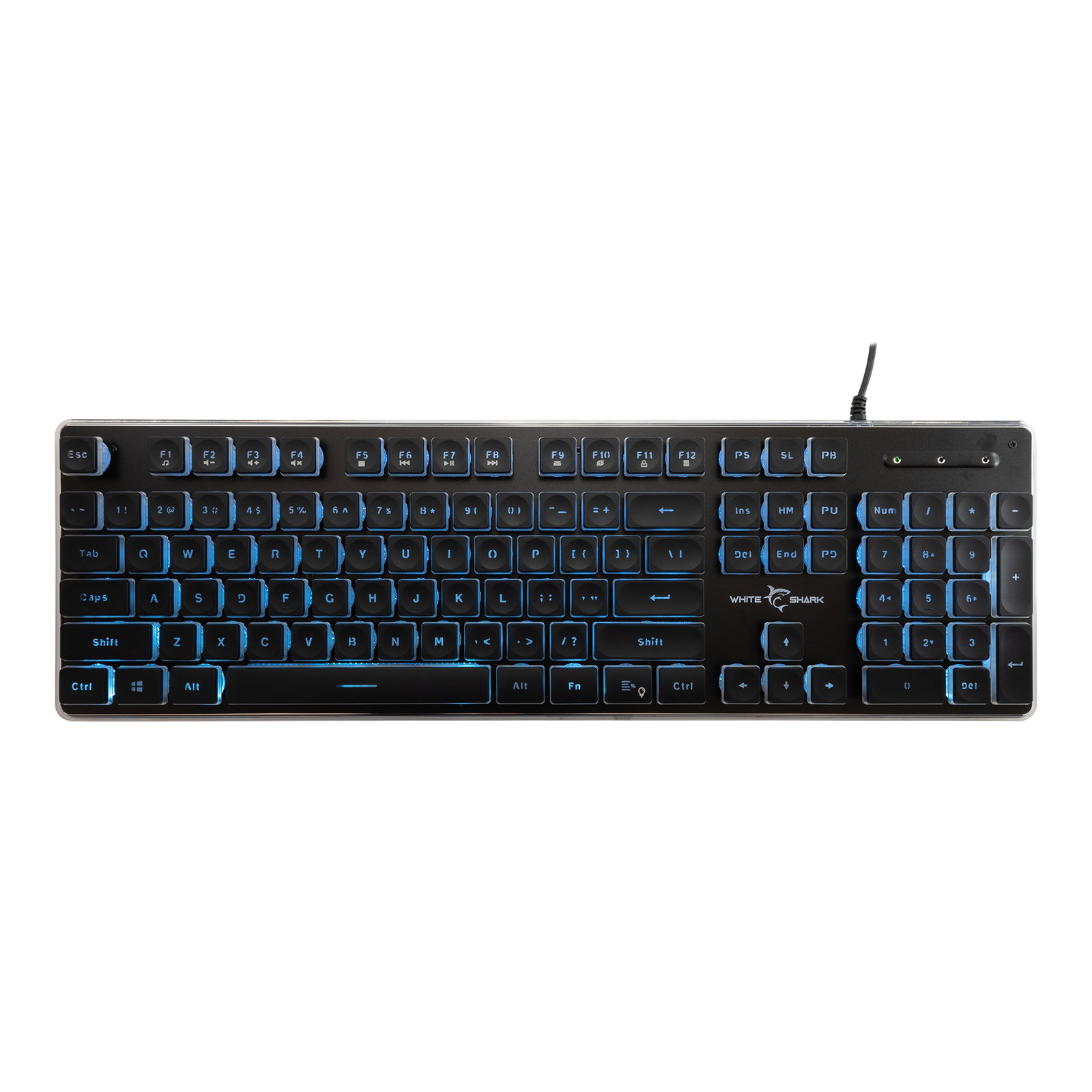White Shark TACHI GK-003141 Black US