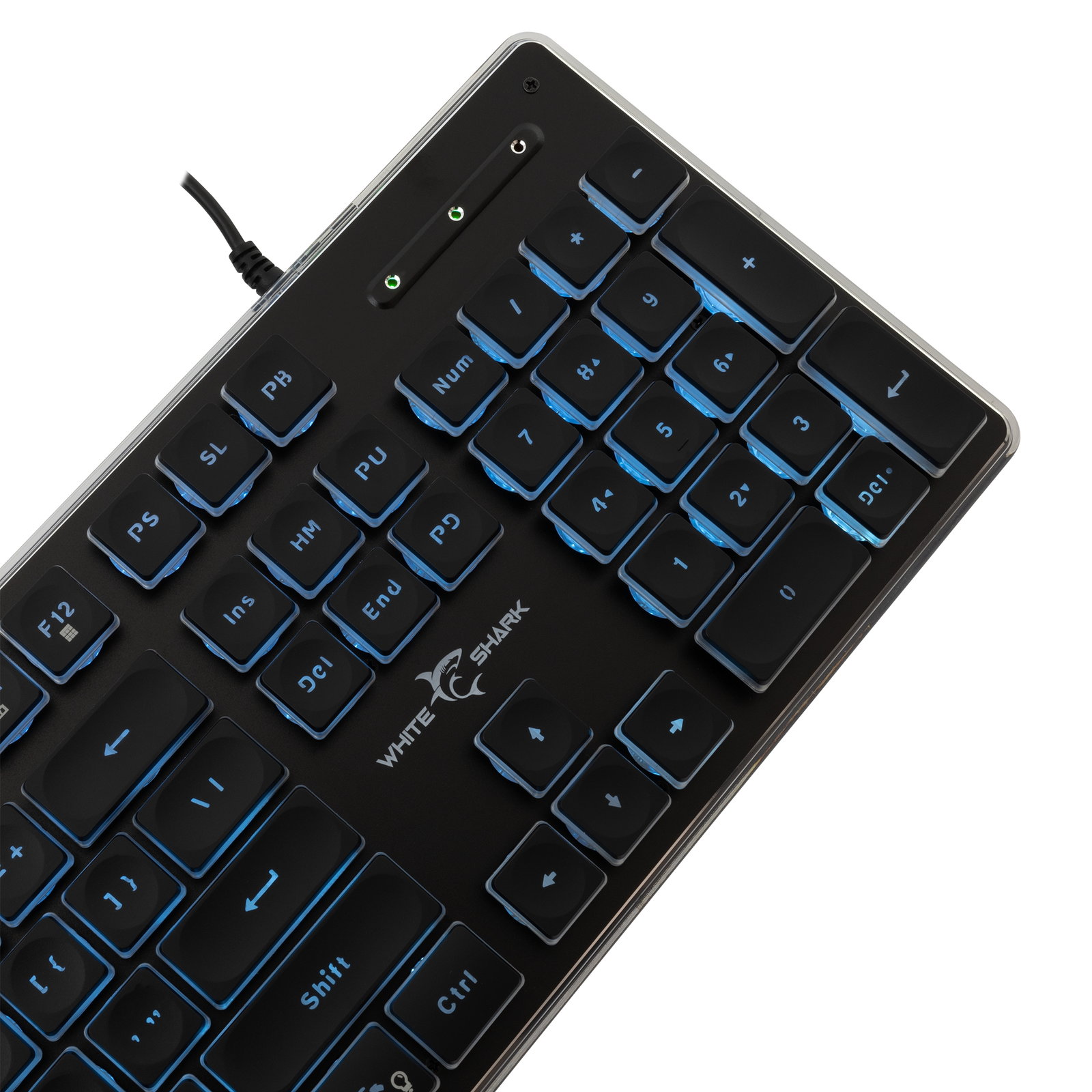 White Shark TACHI GK-003141 Black US