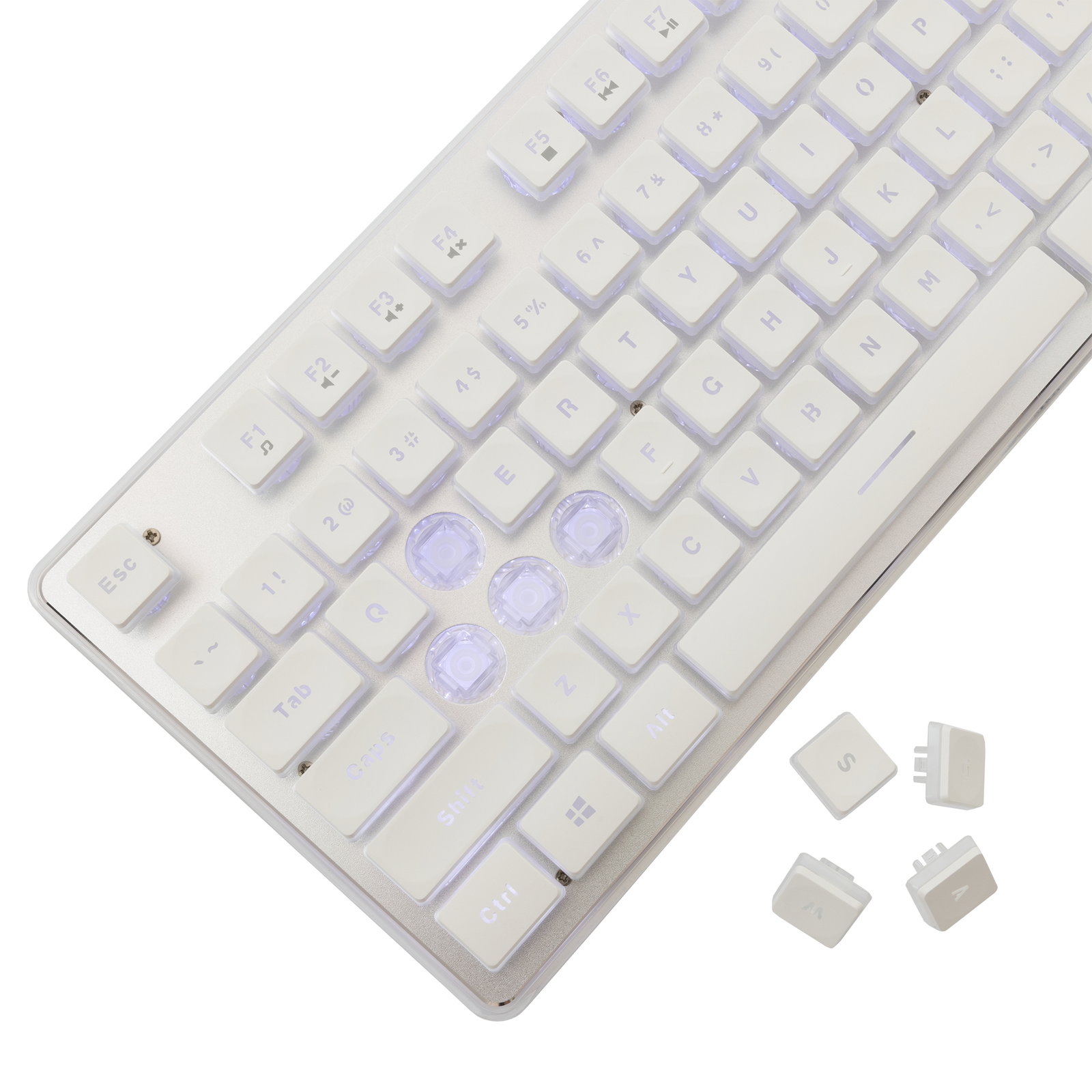 White Shark TACHI W GK-003241 White US