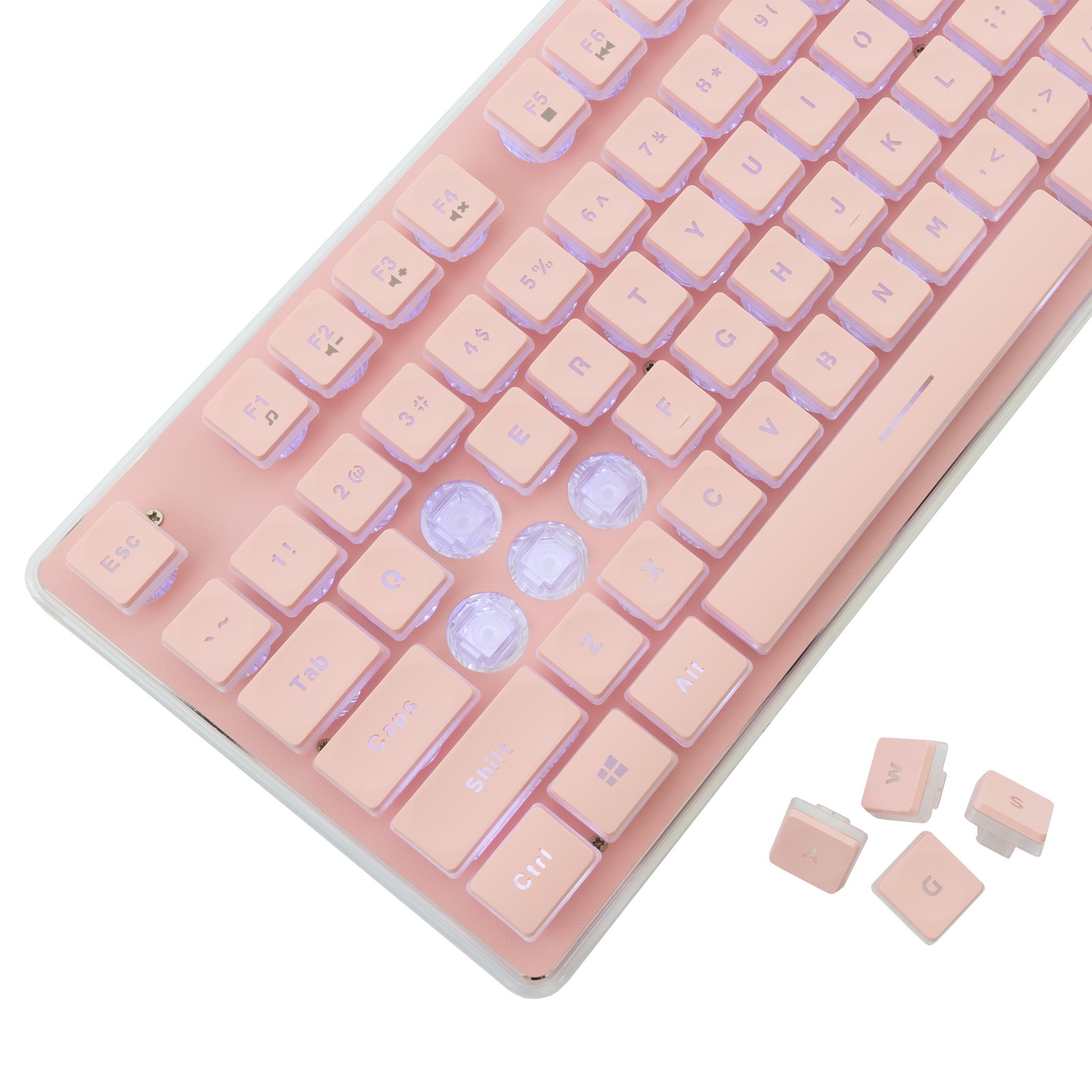 White Shark TACHI-P-US GK-003441 Pink US