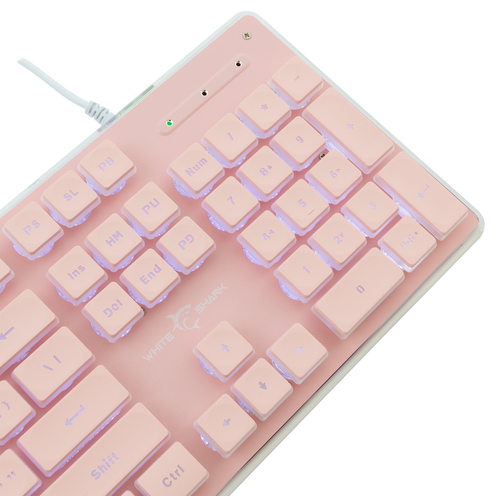 White Shark TACHI-P-US GK-003441 Pink US