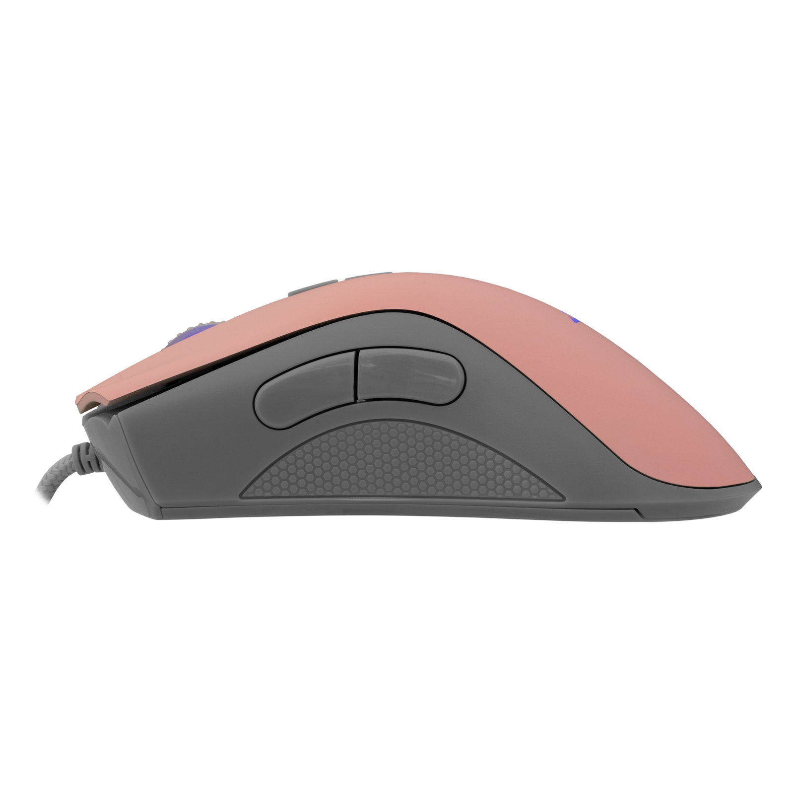 Baracuda LOBSTER BGM-084 Pink