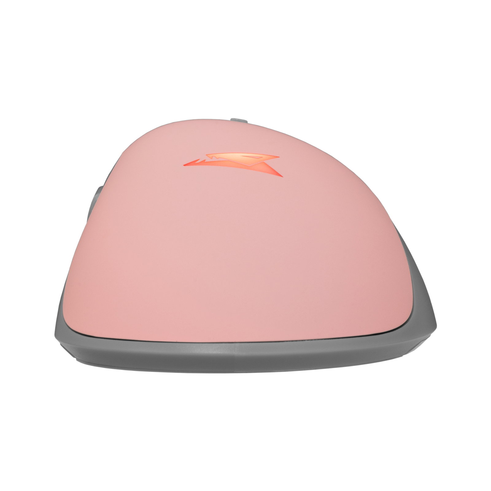 Baracuda LOBSTER BGM-084 Pink