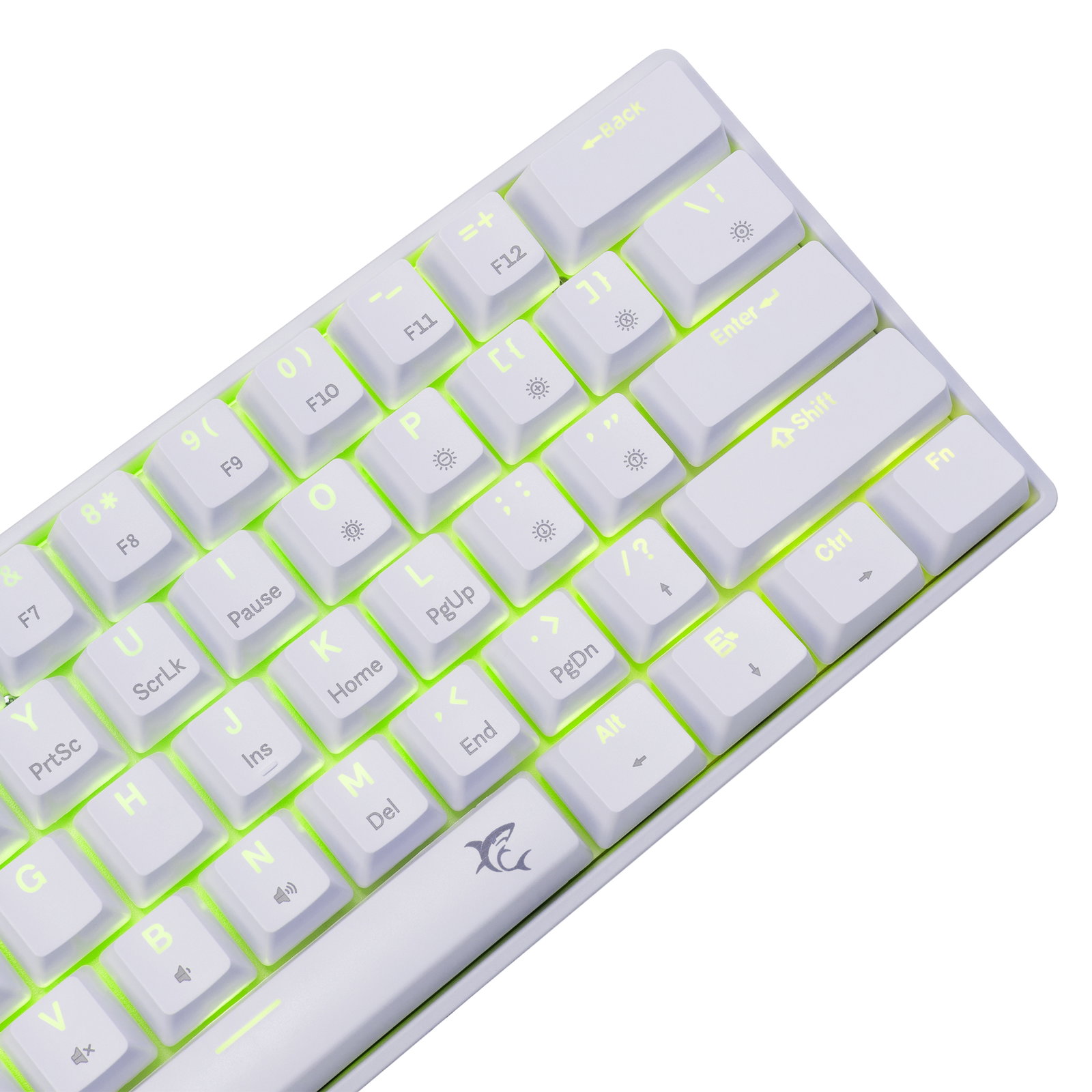 White Shark GK-004221 Shinobi 2 Blue switch, White US