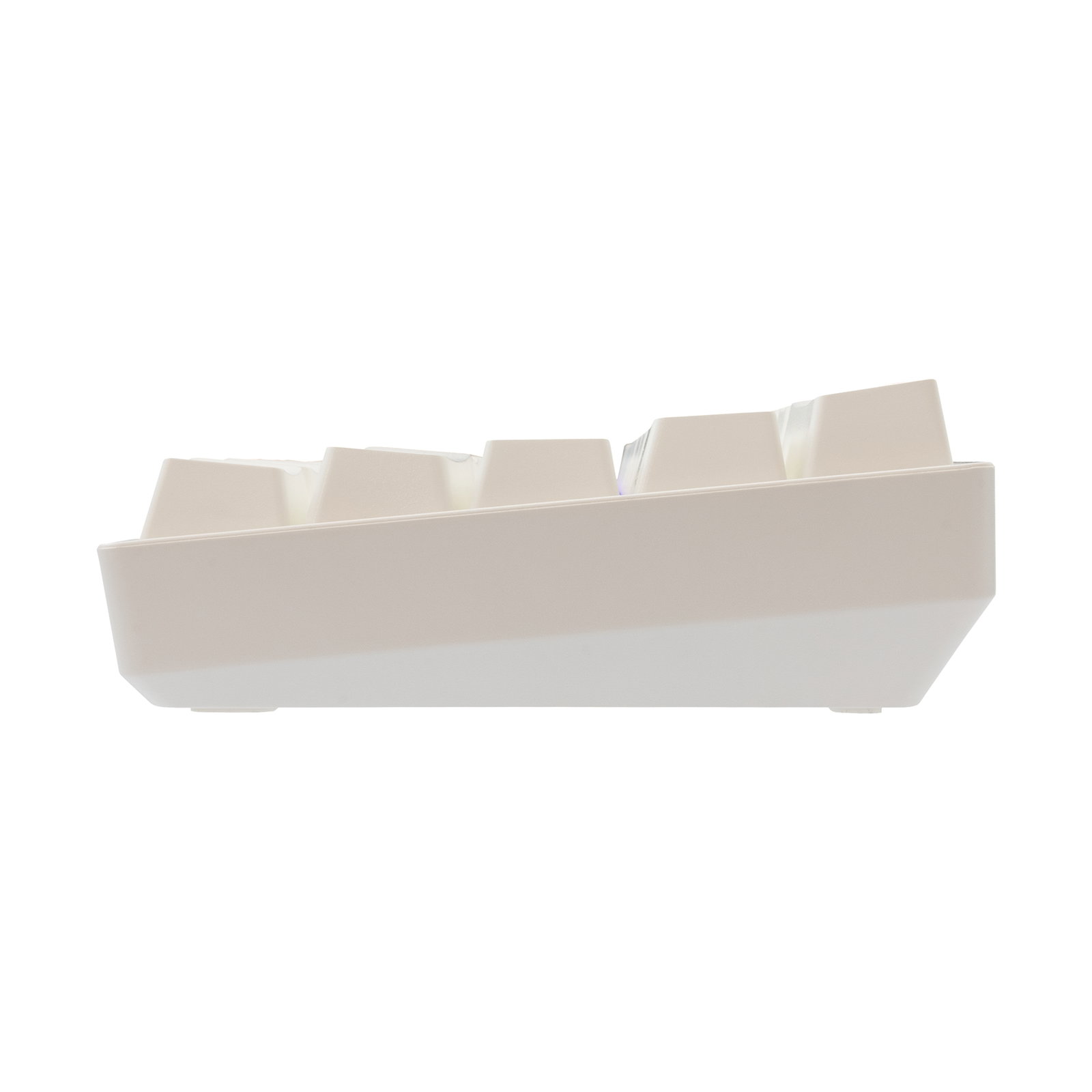 White Shark GK-004231 Shinobi 2 Brown Switch, White US