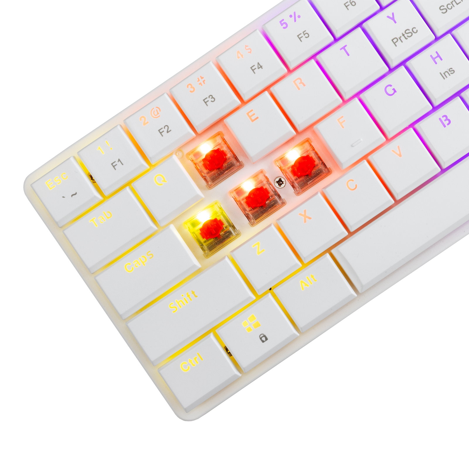 White Shark GK-006211 Nagamaki White-Mechanical-Red.SW