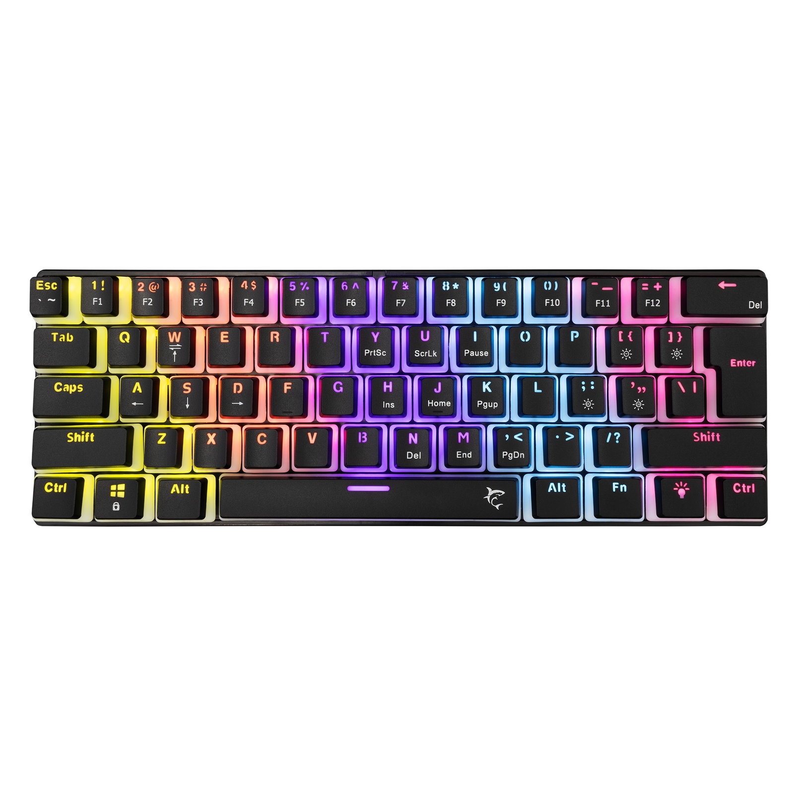 White Shark ASHIKO-2 BLACK/BLUE GK-2202 Black/Blue US