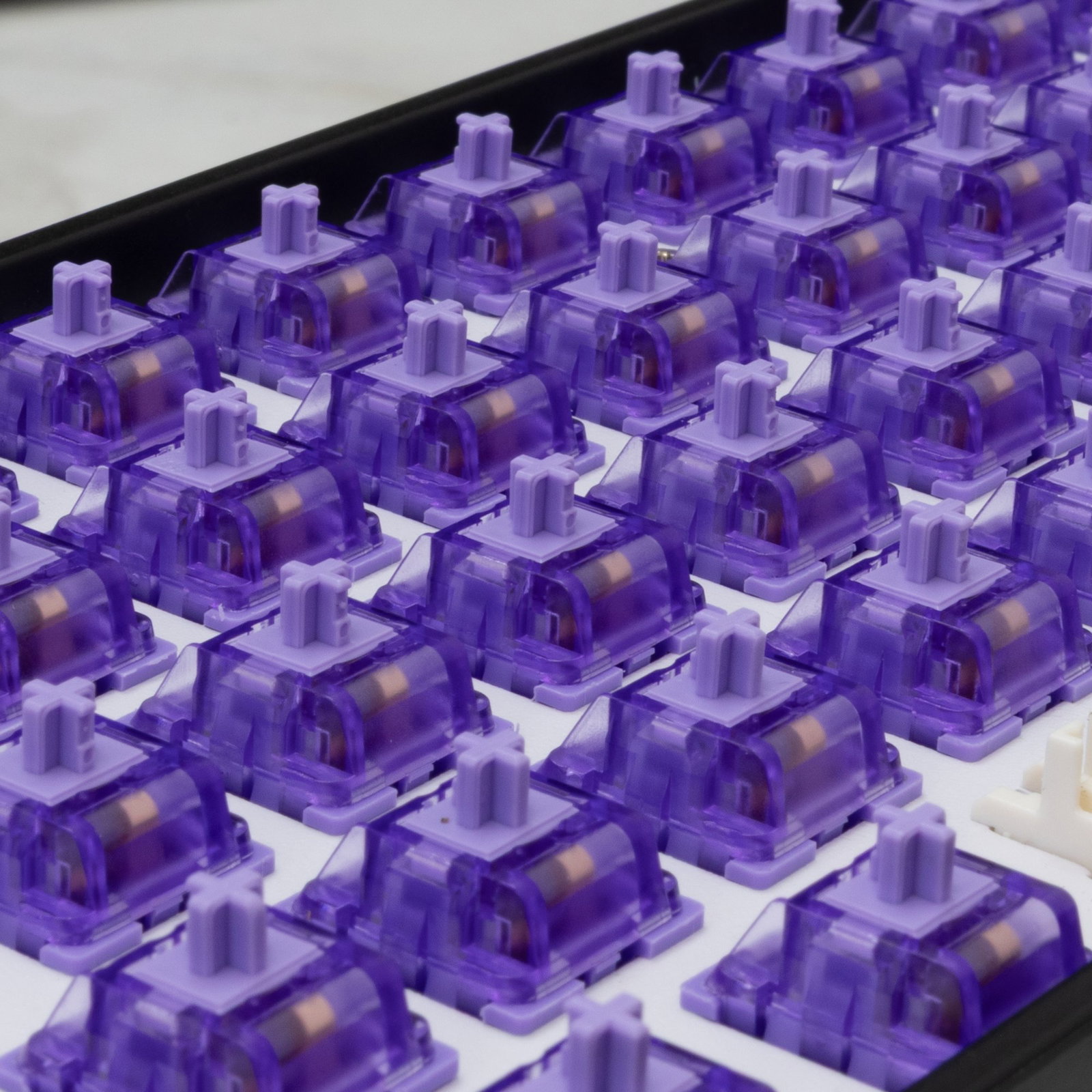 White Shark Purplepulse Mechanical Switches 65 pcs.