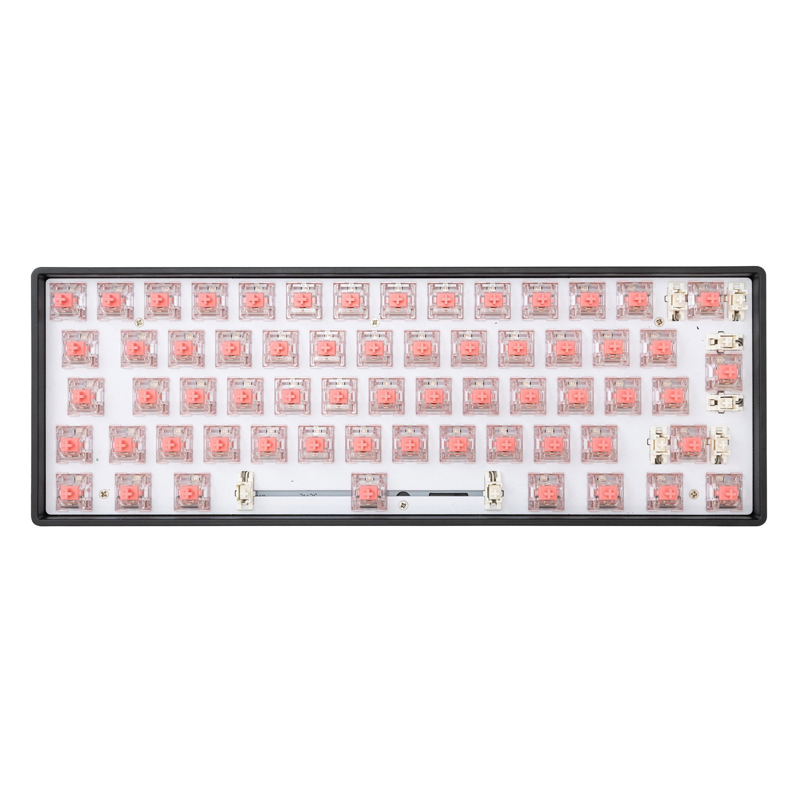 White Shark Venom Rose Mechanical Switches 25 pcs.