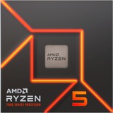 AMD Ryzen 5 7600X, processor - Boxed-Version