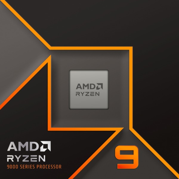 AMD Ryzen 9 9900X, processor - Boxed-Version